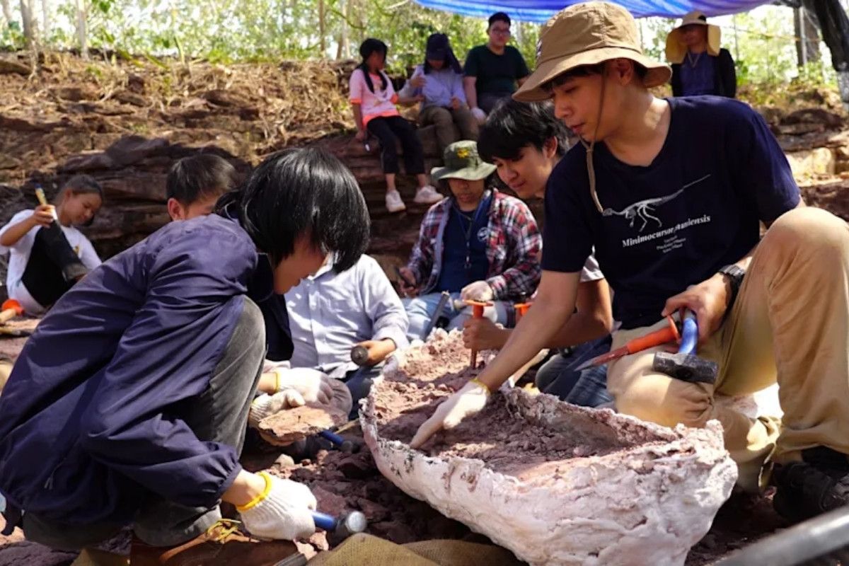 Thailand's 'last titan' confirmed as Southeast Asia's biggest dinosaur on record | News by Thaiger