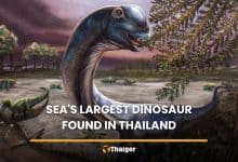 Thailand’s ‘last titan’ confirmed as Southeast Asia’s biggest dinosaur on record | Thaiger