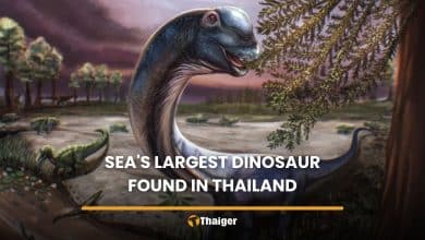 Thailand’s ‘last titan’ confirmed as Southeast Asia’s biggest dinosaur on record | Thaiger