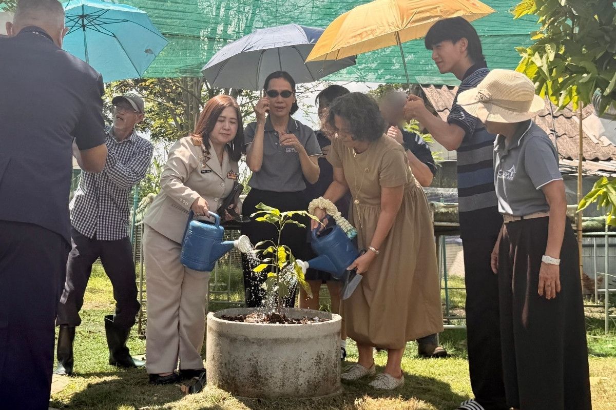 Israel, Thailand mark 72 years with farm upgrade instead of party | News by Thaiger