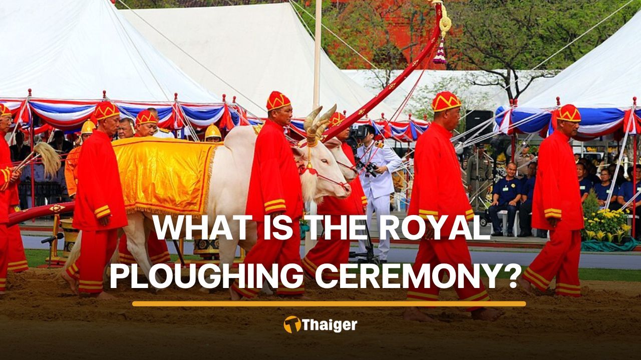 Why two white oxen decide Thailand’s agricultural forecast every May in the Royal Ploughing Ceremony | Thaiger