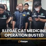 Illegal cat medicine operation busted in Samut Prakan | Thaiger