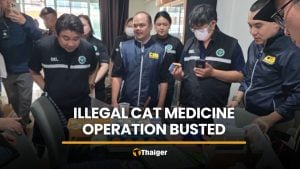 Illegal cat medicine operation busted in Samut Prakan | Thaiger