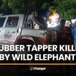 Wild elephant attack kills rubber tapper in Prachin Buri | Thaiger