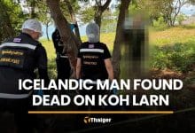 Icelandic man found dead under tree on Koh Larn | Thaiger