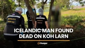 Icelandic man found dead under tree on Koh Larn | Thaiger
