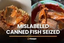 13,000 mislabeled canned fish seized at Samut Sakhon factory | Thaiger