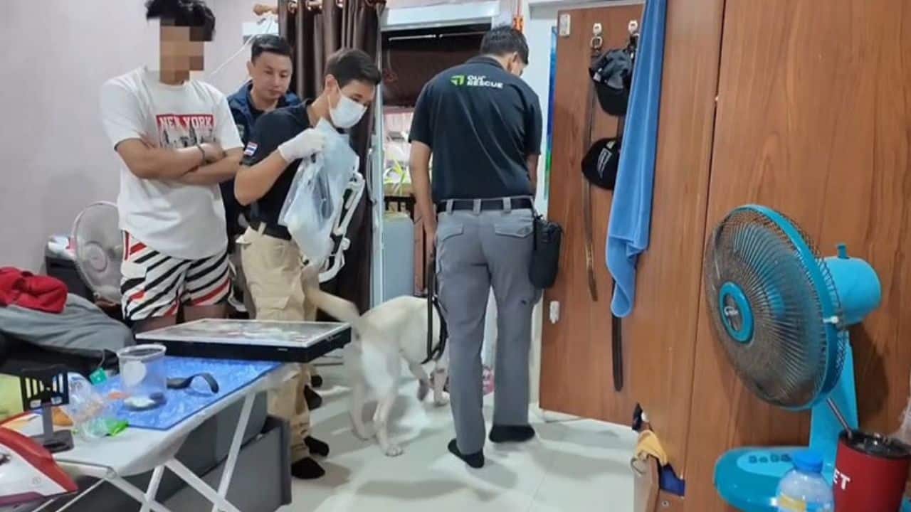 Police arrested a man in Surin after they discovered child sexual abuse material being sold through a subscription-based Telegram group.