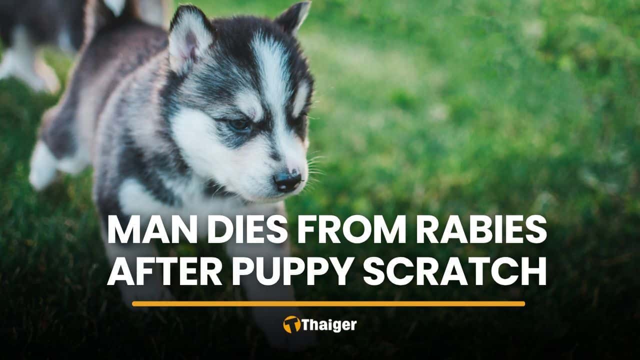 Ubon Ratchathani man dies from rabies after puppy scratch | Thaiger