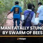 Honey collector fatally stung by bees in Maha Sarakham forest | Thaiger