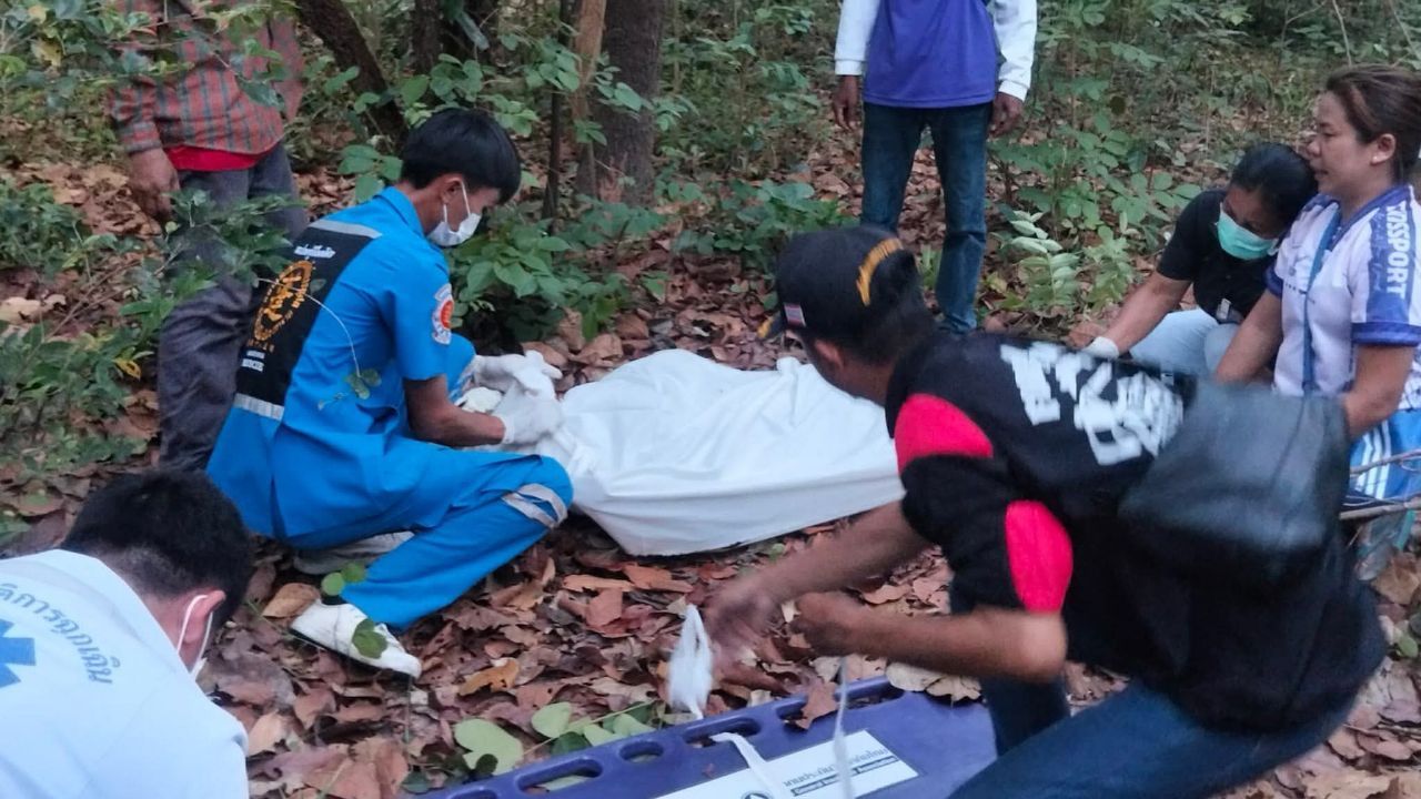 A honey collector died in a bee attack after a wild beehive broke while he was collecting honey with a relative in a Maha Sarakham forest.