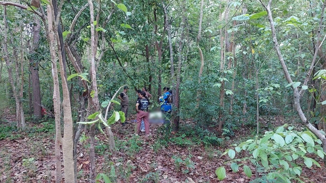 A honey collector died in a bee attack after a wild beehive broke while he was collecting honey with a relative in a Maha Sarakham forest.