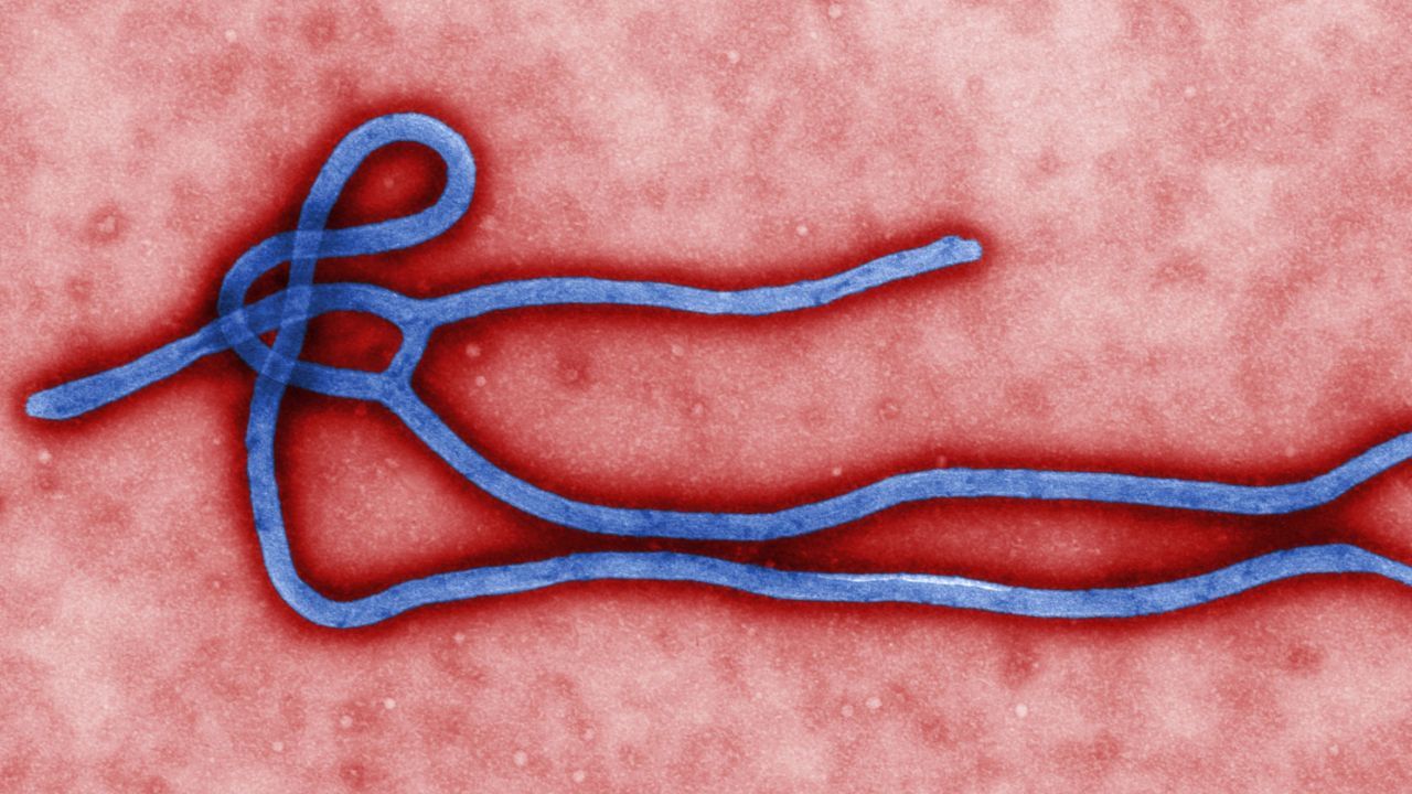 Officials say Thailand is watching the Ebola situation closely after the World Health Organisation reported an outbreak in DR Congo.