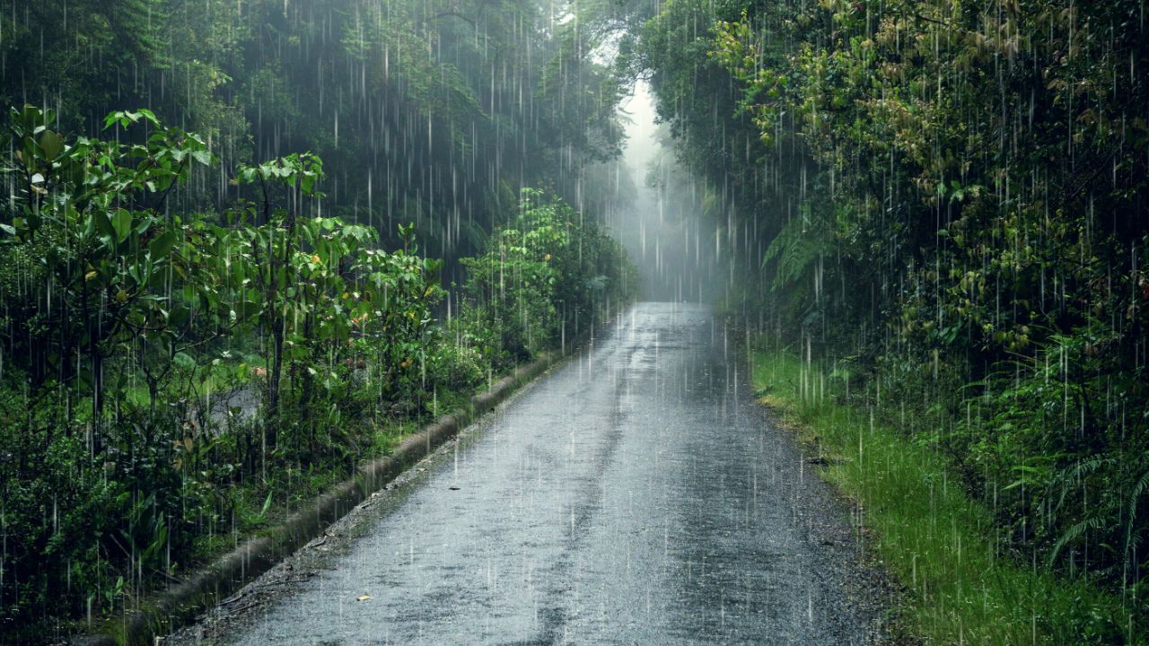 rain road stock
