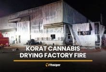 Korat cannabis factory fire causes millions in damage | Thaiger