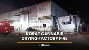 Korat cannabis factory fire causes millions in damage | Thaiger