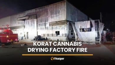 Korat cannabis factory fire causes millions in damage | Thaiger