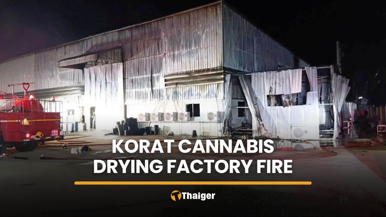 Korat cannabis factory fire causes millions in damage | Thaiger