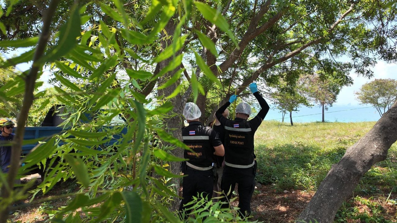 An investigation is underway after an Icelandic man was found dead on Koh Larn, with a large amount of medicine found nearby.