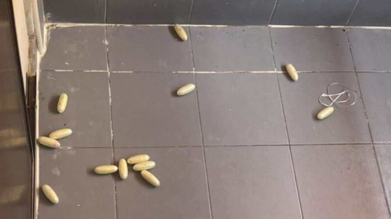 A Turkish man died in Samut Prakan after allegedly swallowing drug capsules, with police finding more packages inside his hotel room.