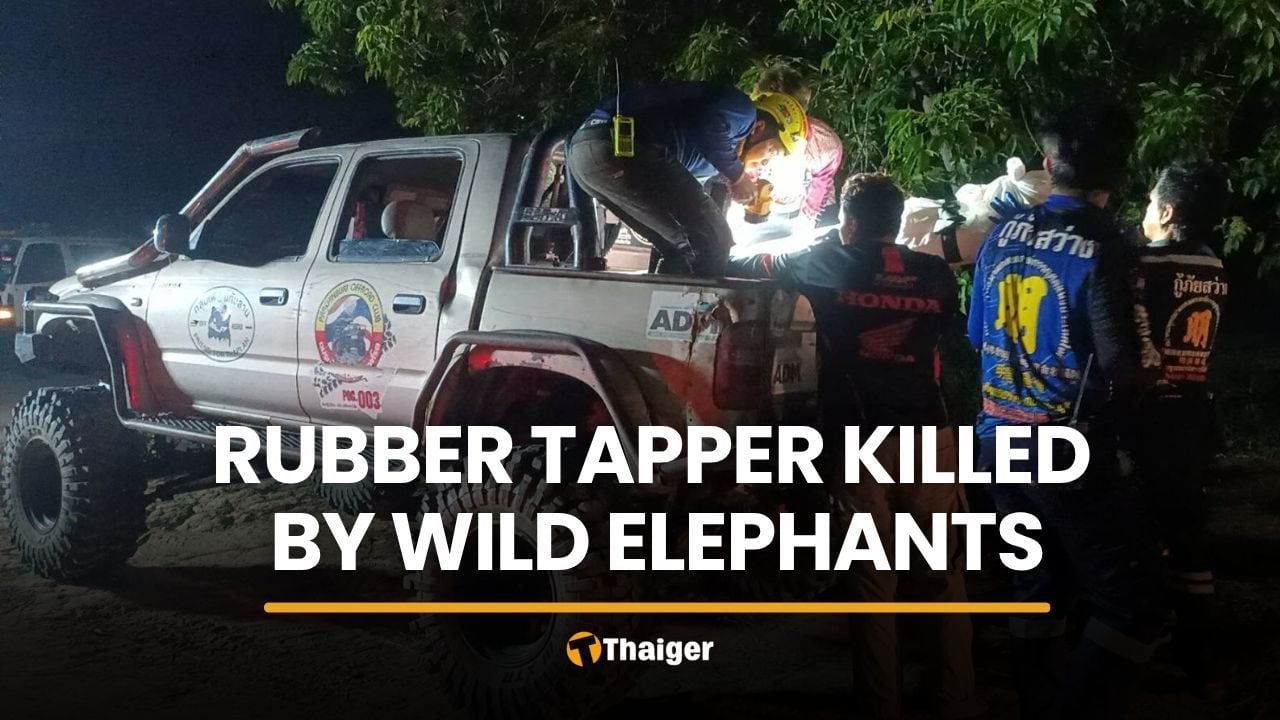 Wild elephant attack kills rubber tapper in Prachin Buri | Thaiger