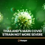 Thailand’s dominant Covid strain not more severe, DDC says | Thaiger