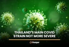 Thailand’s dominant Covid strain not more severe, DDC says | Thaiger