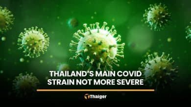 Thailand’s dominant Covid strain not more severe, DDC says | Thaiger