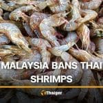 Malaysia bans Thai shrimp over seabass dispute, 4 billion baht at risk | Thaiger