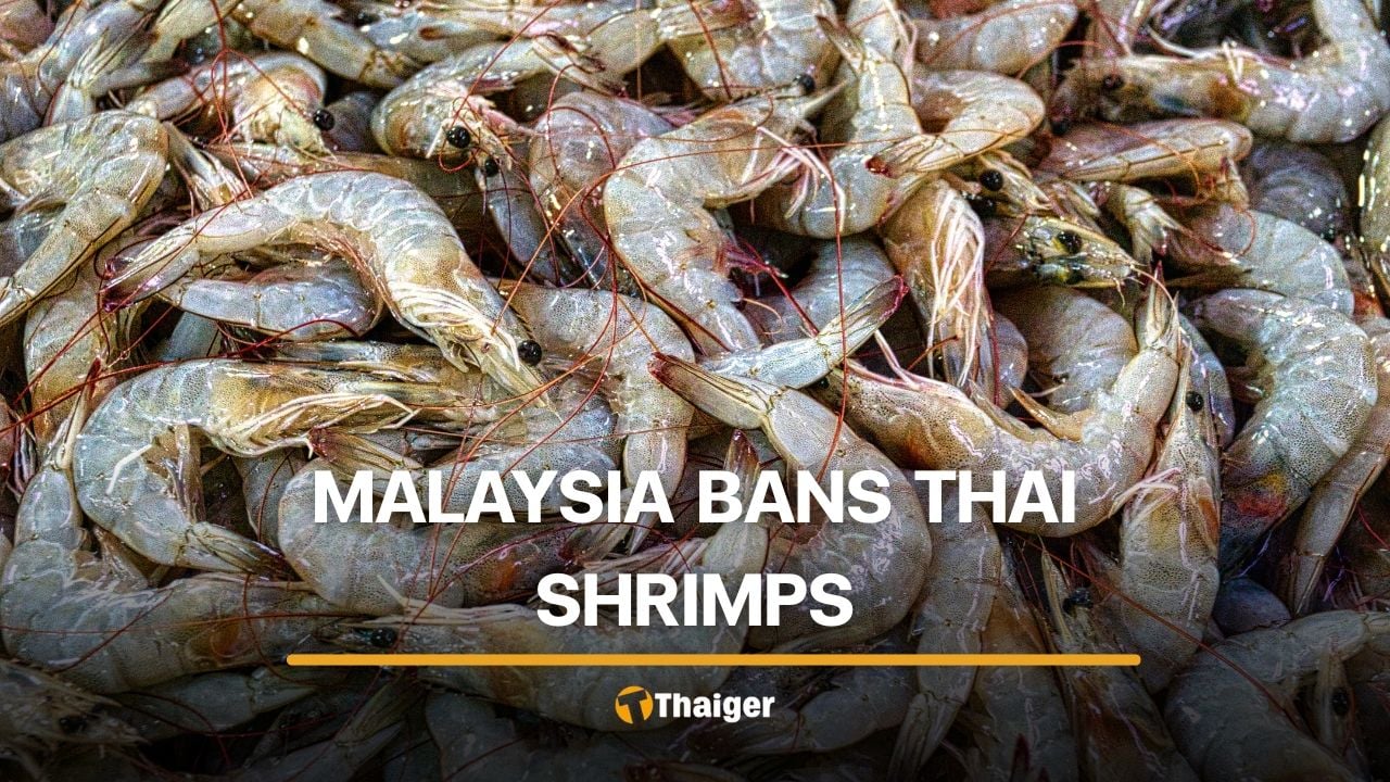 Malaysia bans Thai shrimp over seabass dispute, 4 billion baht at risk | Thaiger